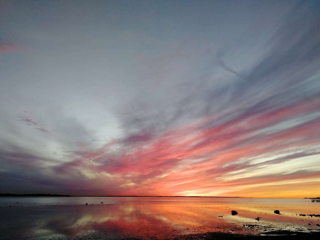 Bilden är tagen av Oscar Kekäle. ©2025